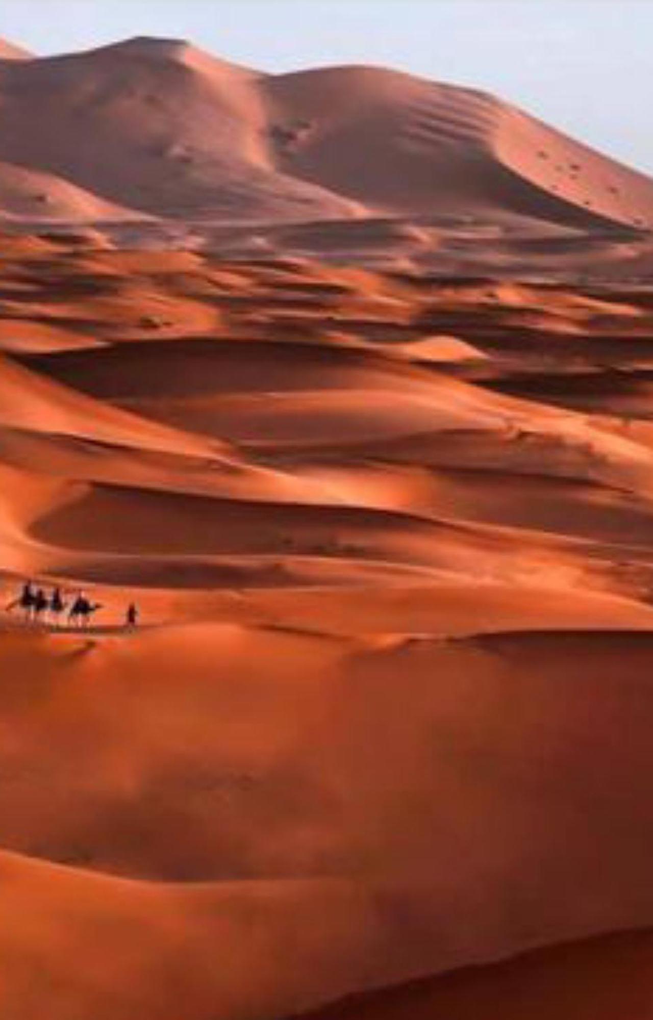 מרזאוגה Luxury Desert Camp מראה חיצוני תמונה